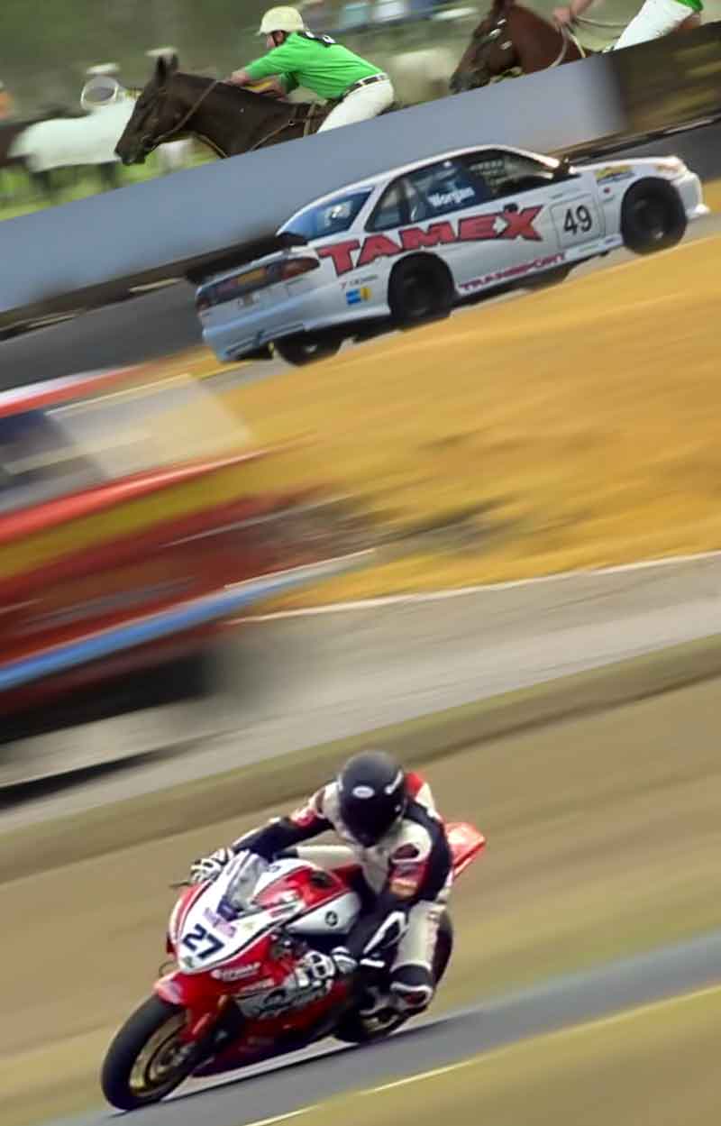 Morgan-park-races-horses-cars-motorbikes